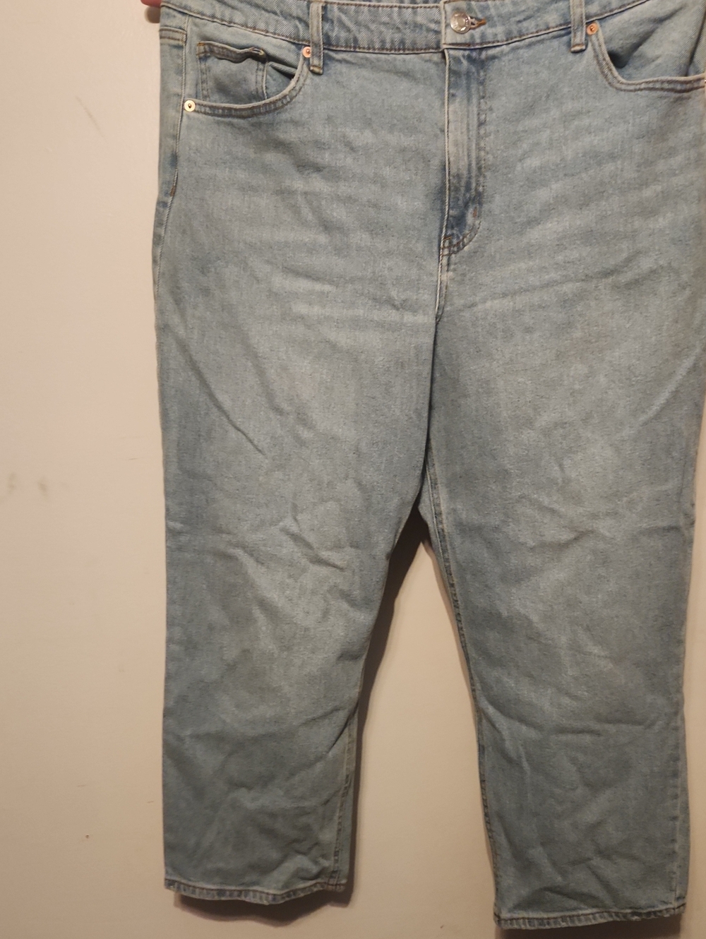wild fable Light Wash Cropped Jeans